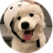 用戶(hù)頭像
